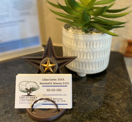 A business card holder sits on a table next to a potted plant at a New Braunfels dental office.